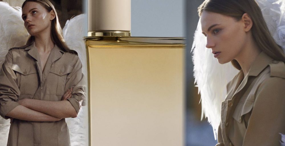 The Faceshop :  ชุดผลิตภัณฑ์ช่วยต้านอนุมูลอิสระ